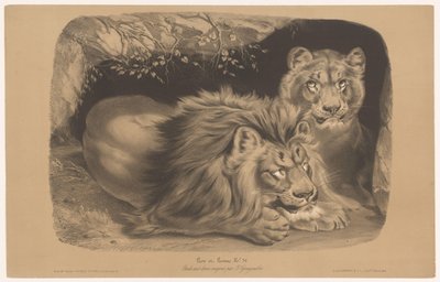 Leeuw en leeuwin door Joseph Zephyris Gengembre