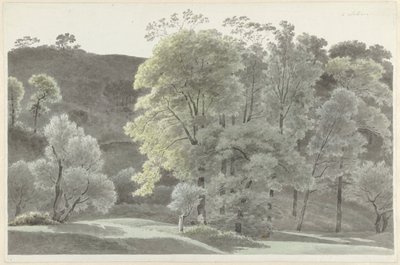 Bomen in de omgeving van Subiaco door Josephus Augustus Knip