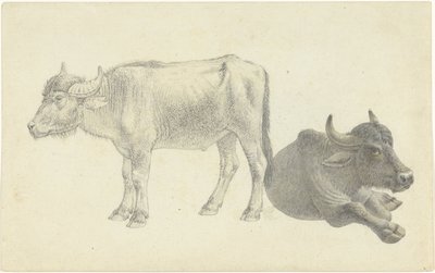 Liggend en staand rund door Josephus Augustus Knip
