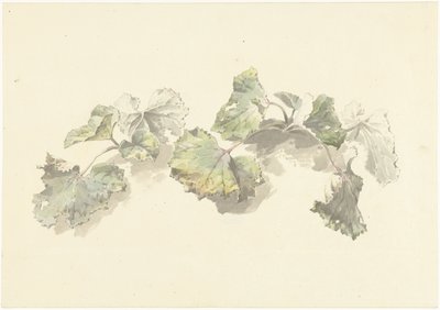 Studie van bladeren door Josephus Augustus Knip