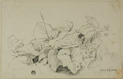Klomp bladeren en bloemen door Joshua Cristall