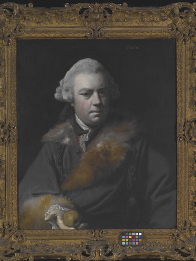 Portret van Thomas Bowlby door Joshua Reynolds