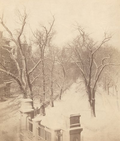 Sneeuwscène in Boston Common door Josiah Johnson Hawes