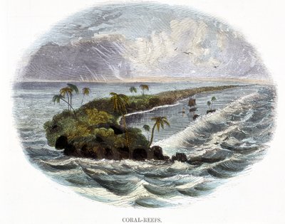 Koraalriffen, uit Verschijnselen van de Natuur, 1849 door Josiah Wood Whymper