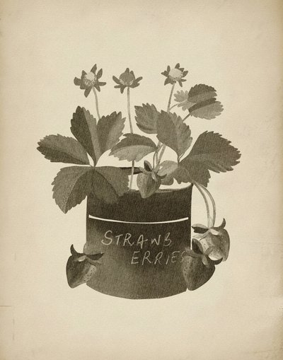 Vintage illustratie van aardbeien door Josie George
