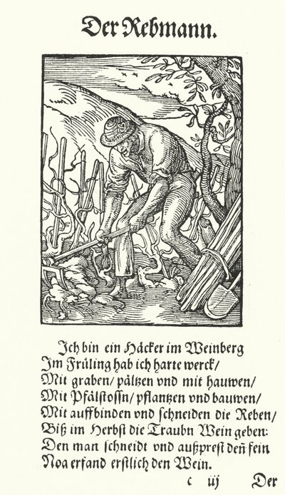 De wijnbouwer door Jost (after) Amman