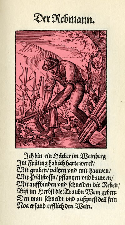 De wijnbouwer door Jost (after) Amman