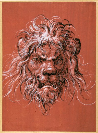 Leeuwenkop door Jost Amman