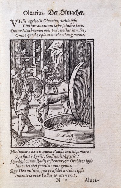 Oliemaker, illustratie uit de Latijnse editie van 
