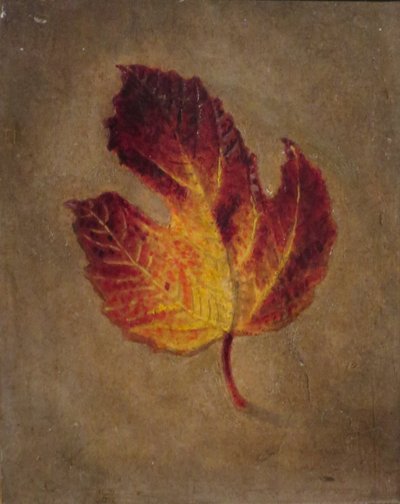 Esdoornblad door Jr. Edward Edmondson