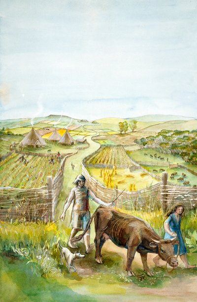 Landelijk Landschap door Judith Dobie