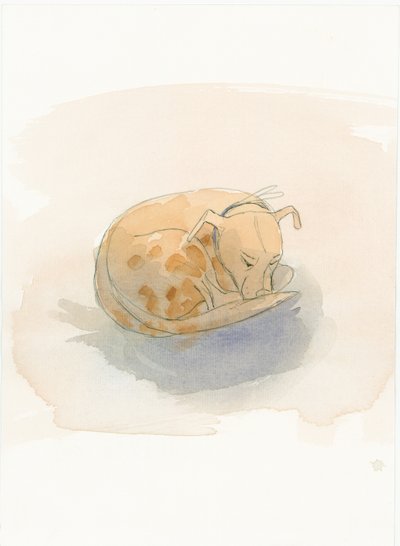 Slapende hond, 2003 door Judith Dobie
