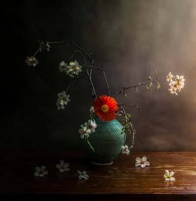  door Judy Tseng