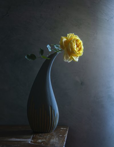  door Judy Tseng