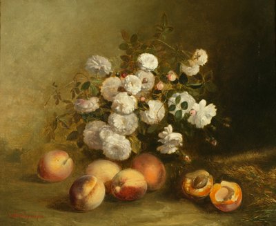 Bloemen en abrikozen door Jules Bidlingmeyer