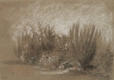 Genets et Ronces (Brem en Braamstruiken) door Jules Dupré