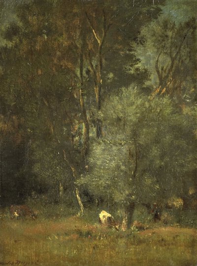 Uitzicht in het bos door Jules Dupré