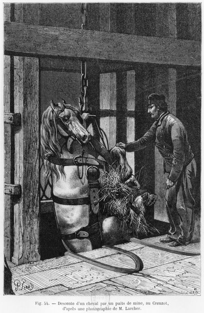 Paard wordt neergelaten in de kolenmijn bij Le Creusot, illustratie uit 