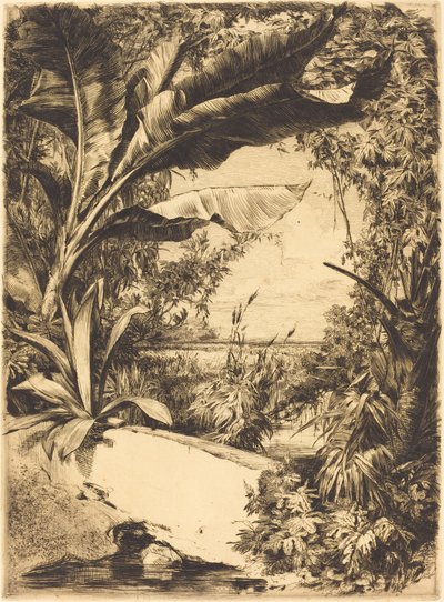 Kasplanten door Jules Ferdinand Jacquemart