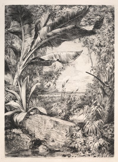 Planten van de kas, 1872 door Jules Ferdinand Jacquemart