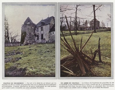 Chateau de Mondement, Een Boom van het Kasteel door Jules Gervais Courtellemont