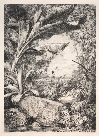 Planten van de Kas door Jules Jacquemart