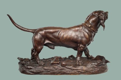 Een Basset Hound (brons met bruine patina) door Jules Pierre Moigniez