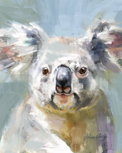 De zachte blik van de koala door Julia Cheney