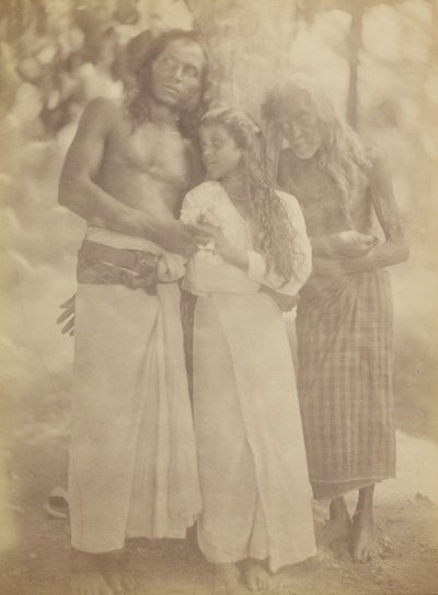 Ceylonese Groep bij een Boom, 1878 door Julia Margaret Cameron