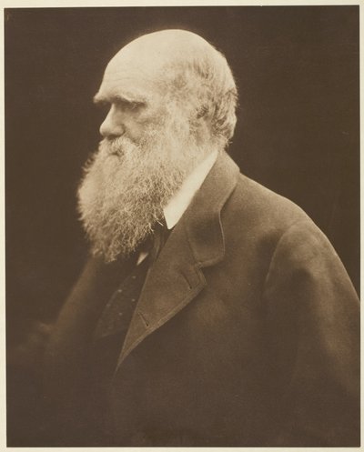 Charles Darwin door Julia Margaret Cameron