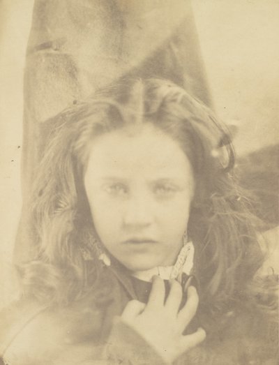 Madeliefje door Julia Margaret Cameron