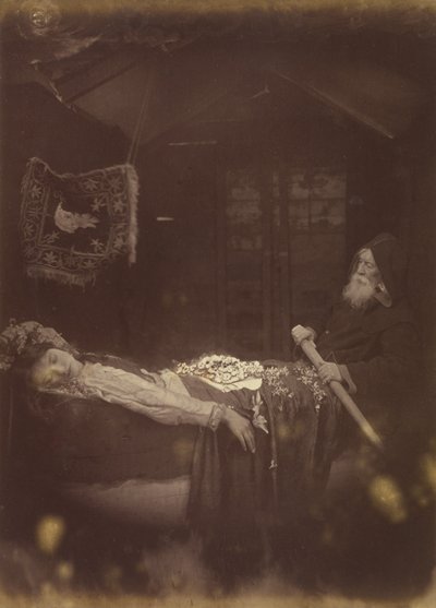  door Julia Margaret Cameron