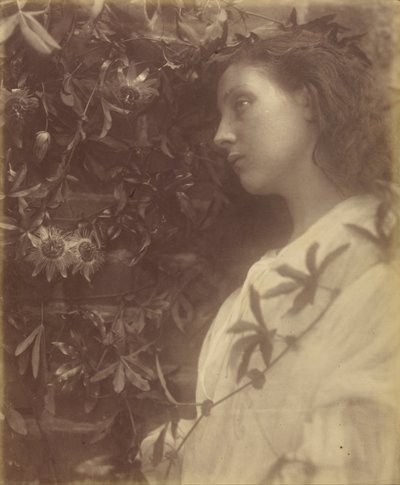 Maud Er is een prachtige traan gevallen van de Passiebloem bij de Poort door Julia Margaret Cameron