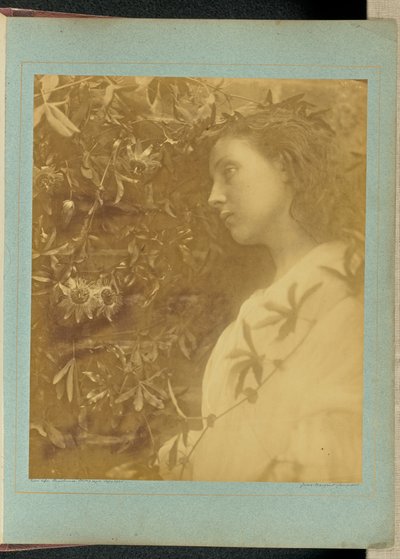  door Julia Margaret Cameron