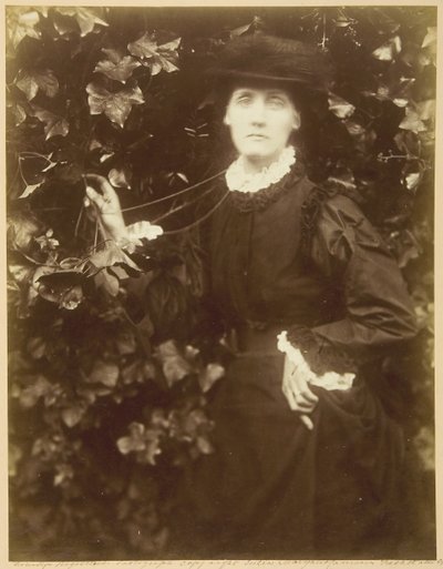 Mevrouw Herbert Duckworth Ze Wandelt in Schoonheid door Julia Margaret Cameron