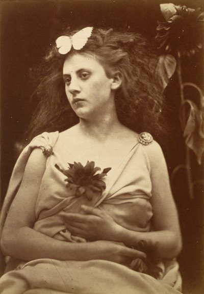 De zonnebloem, begin jaren 1870 (foto) door Julia Margaret Cameron