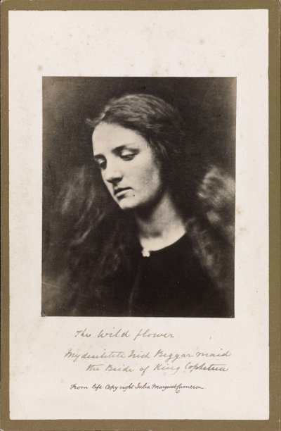 De Wilde Bloem door Julia Margaret Cameron