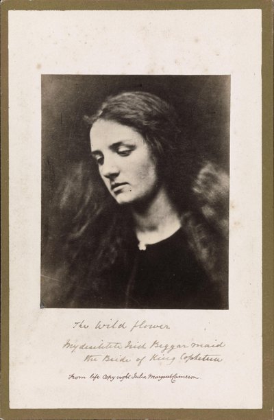 De wilde bloem door Julia Margaret Cameron
