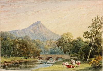 Sugarloaf Hill vanaf Tynnahinch door Julia Swinburne