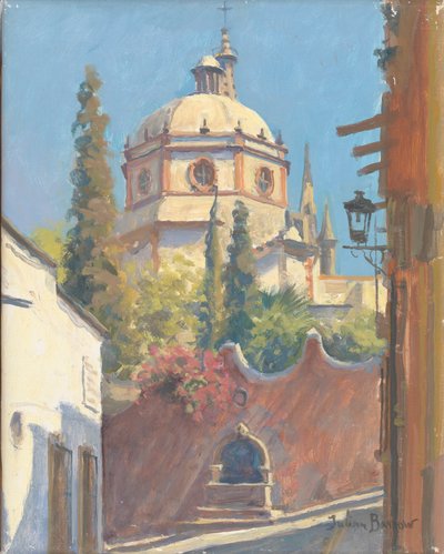 San Miguel Allende door Julian Barrow