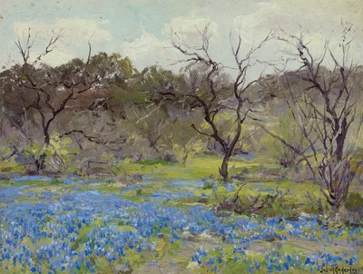 Vroege lente—blauwe lupines en mesquite door Julian Onderdonk