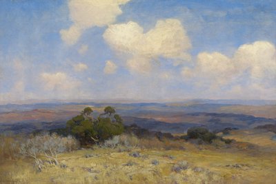 Zonlicht en schaduw door Julian Onderdonk