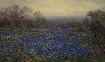Zonder titel - Veld van Bluebonnets door Julian Onderdonk