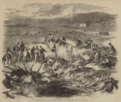 Het Slagveld van de Tchernaya, het Begraven van de Doden door Julian Portch