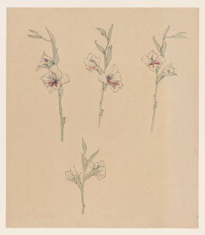 Bloemstudies door Julie de Graag