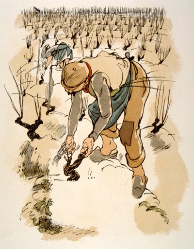 Humoristische wijnillustratie 1946. Illustratie door Julien Pavil door Julien Pavil