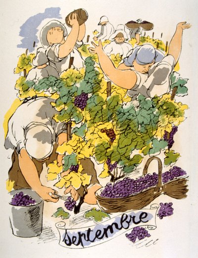 Humoristische wijnillustratie 1946 door Julien Pavil