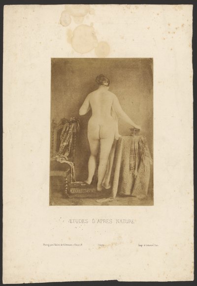 Studies uit de natuur door Julien Vallou de Villeneuve