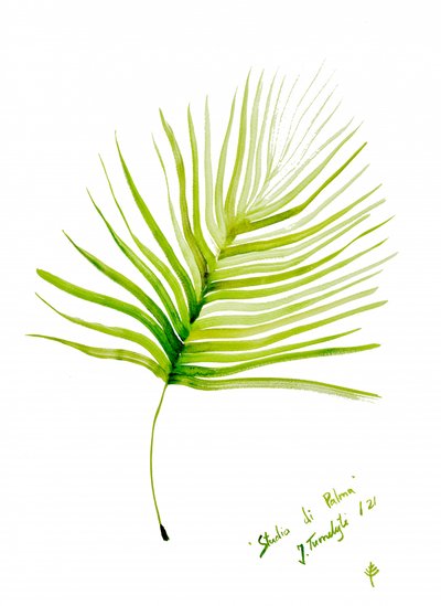 Aquarel van een groen palmblad door Julija Belickienė