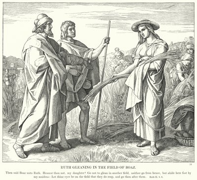 Ruth Leest in het Veld van Boaz (gravure) door Julius (after) Schnorr von Carolsfeld